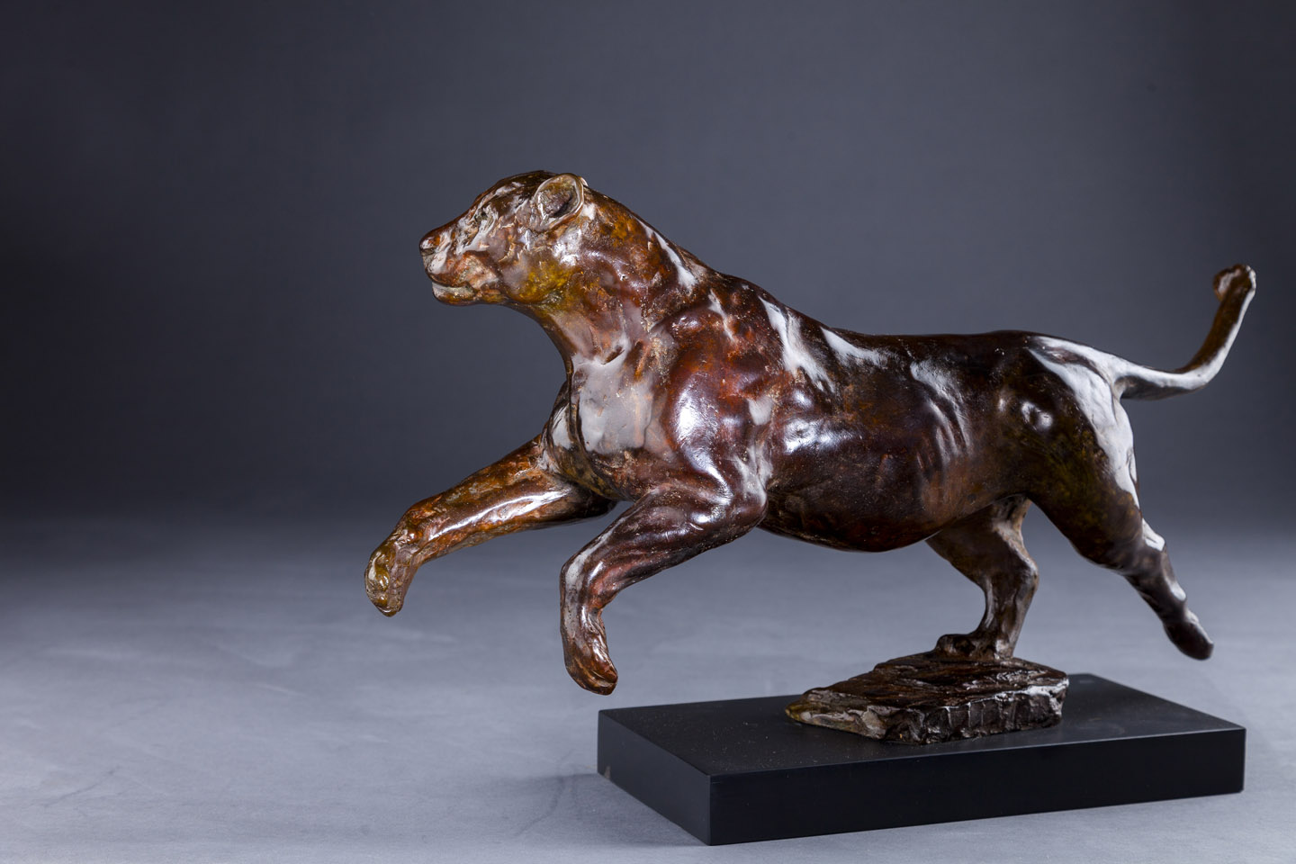 Lioness Bronze Wildlife Sculpture by Sally Amoore