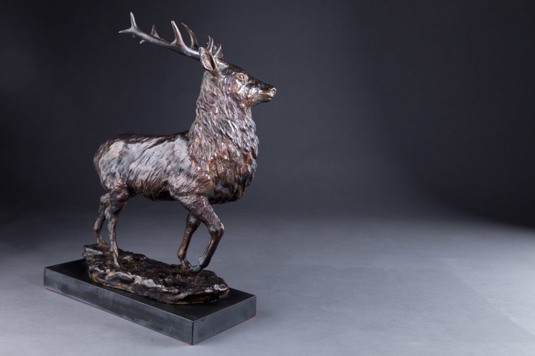 Highland Stag Sculpture by Sally Amoore