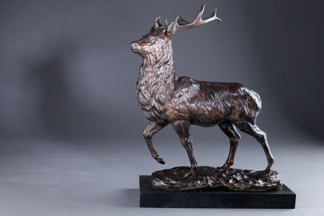 Highland Stag Sculpture by Sally Amoore