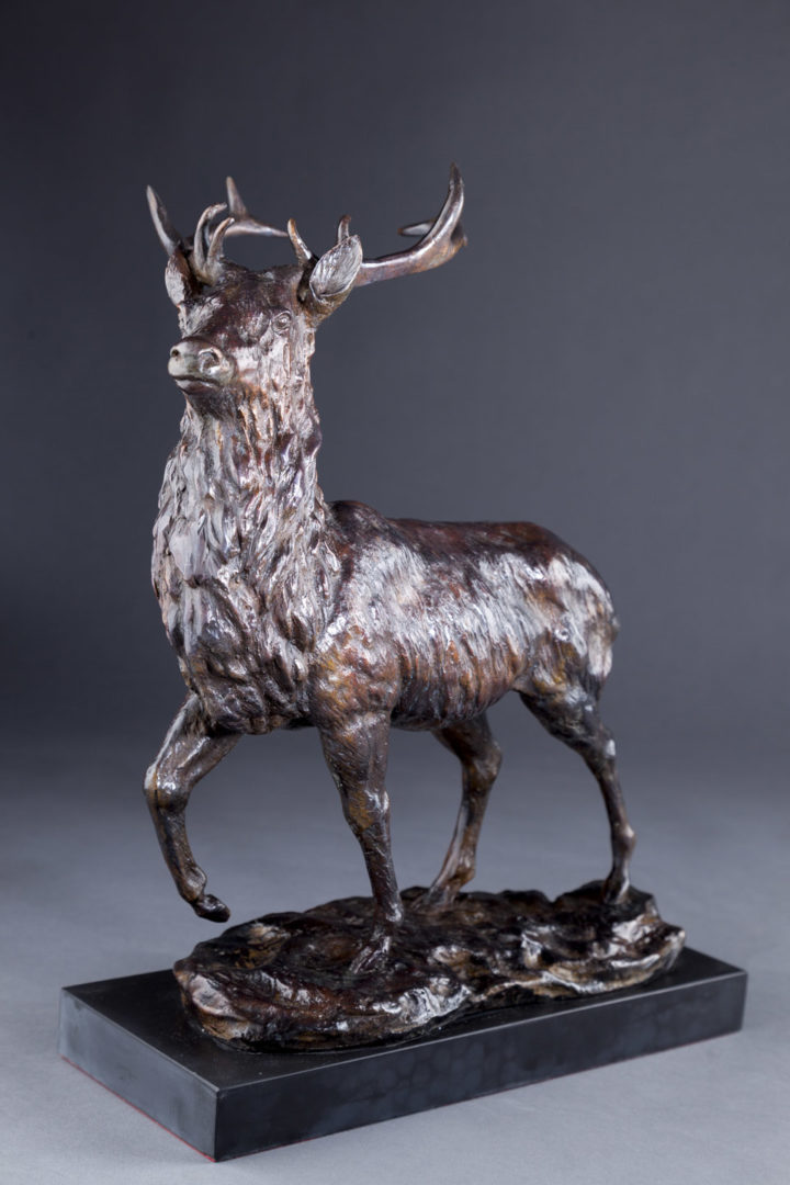 Highland Stag Sculpture by Sally Amoore