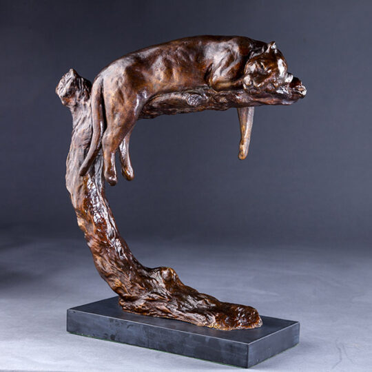 Link to Sleeping Leopard page.