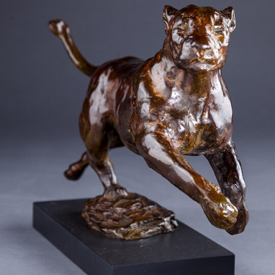Link to Lioness page.