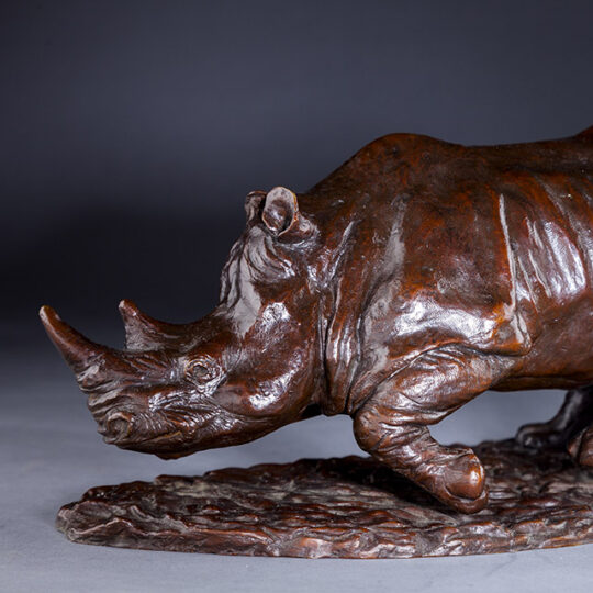 Link to Rhinoceros page.