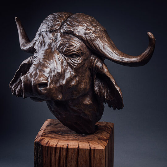 Link to Buffalo Head page.