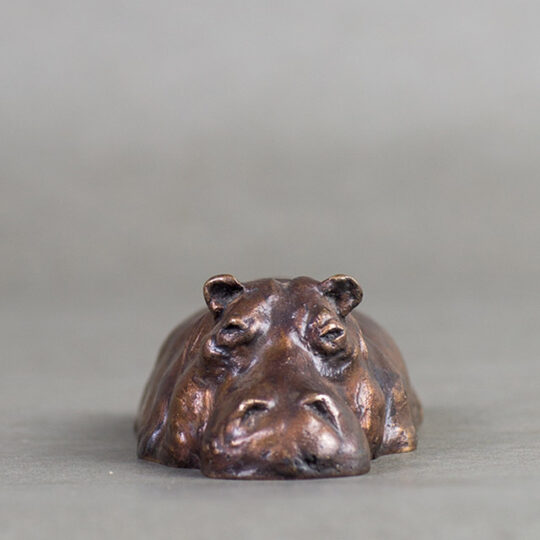 Link to Half Submerged Hippo page.