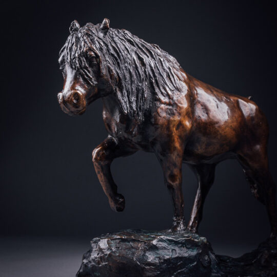 Link to Welsh Mountain Pony page.
