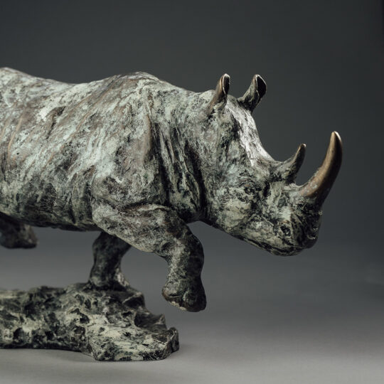 Link to Rhino page.